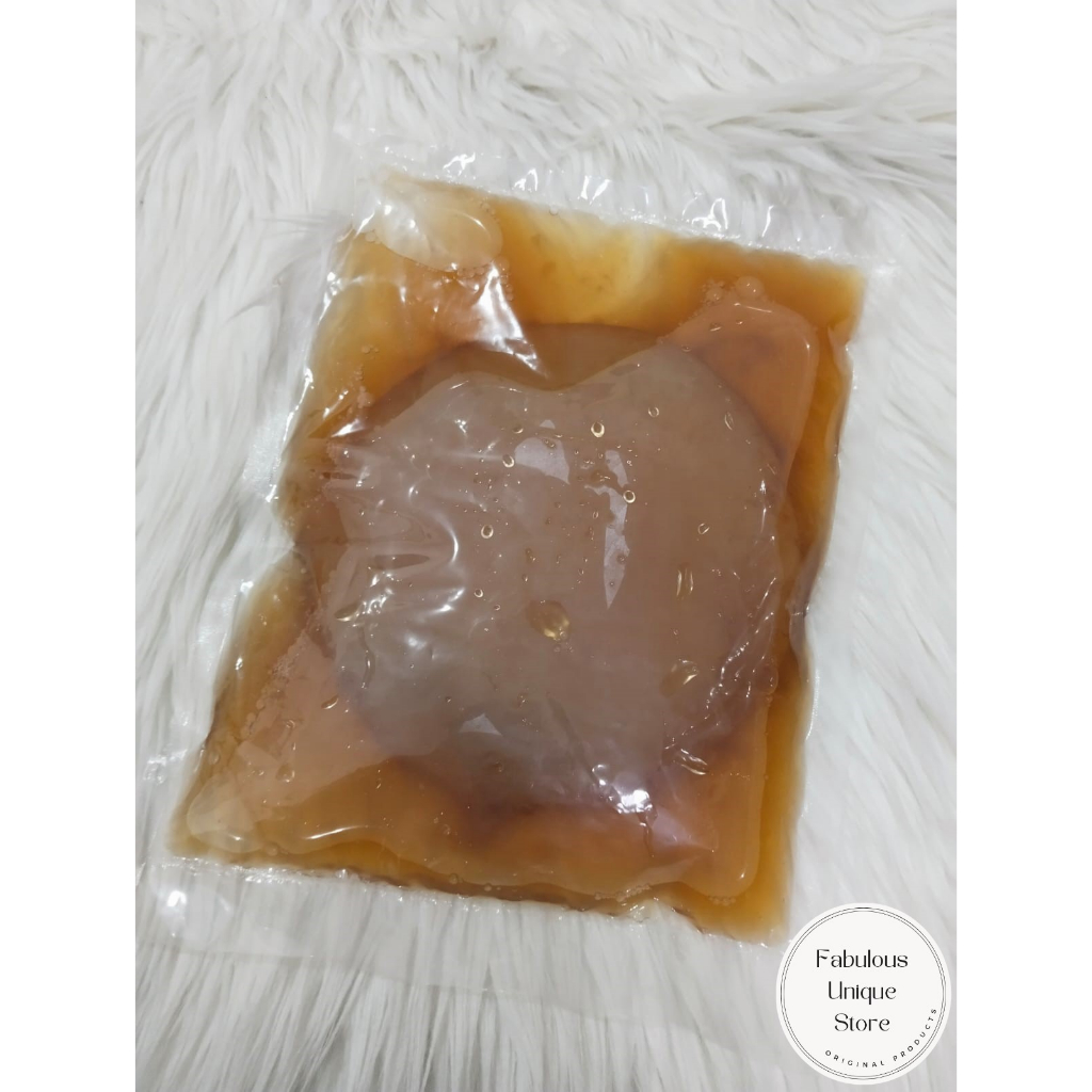 

Scoby Kombucha Organik Premium with Starter Black Tea Green Tea