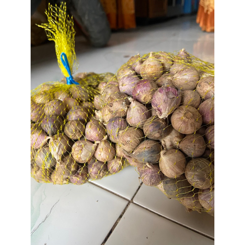

Bawang putih tunggal/bawang lanang.! Bumbu dapur,bumbu masakan, rempah-rempah.