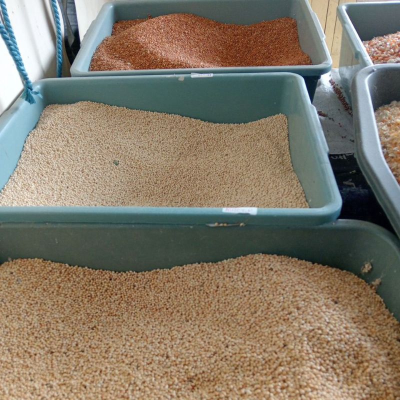 

Milet Kuning Putih Merah ECER 100 gram