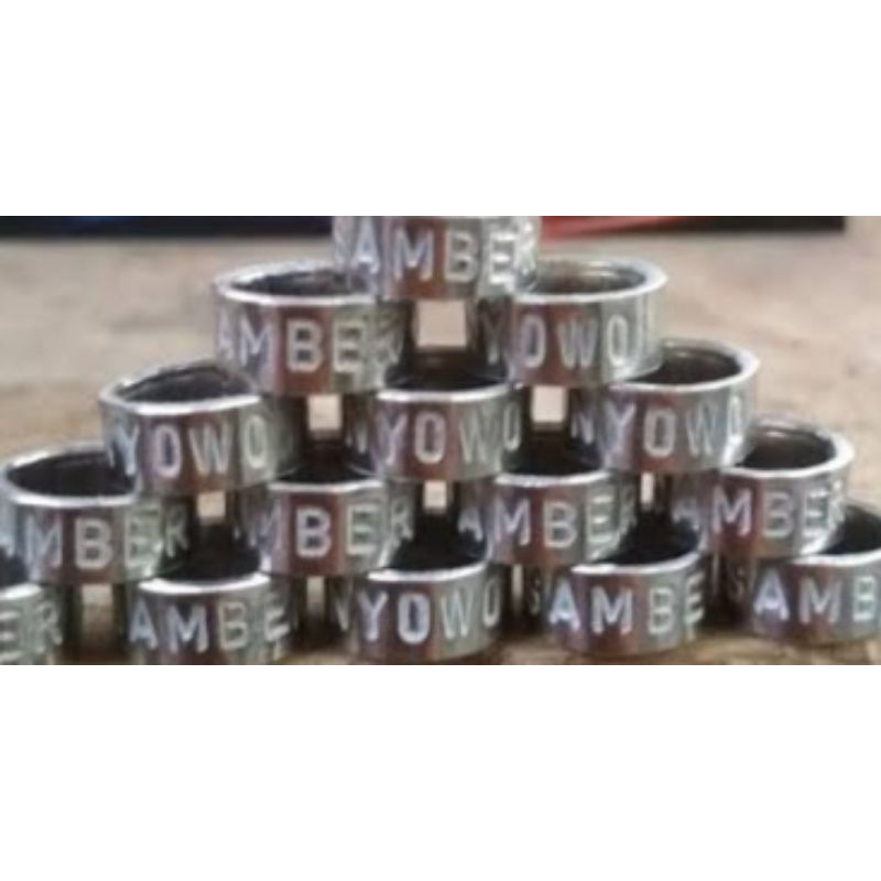 RING MERPATI BAJA SLIM 10 pcs