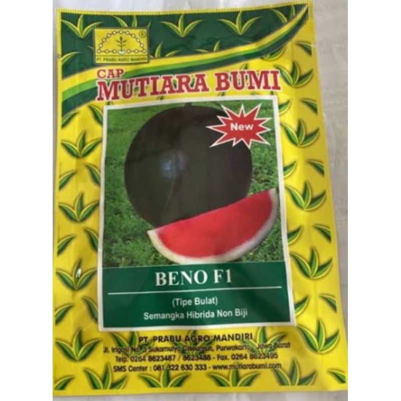 Benih Semangka BENO F1 semangka Non Biji Beno Cap Mutiara Bumi