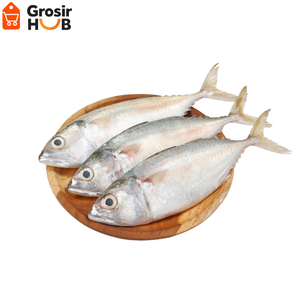 

ikan kembung segar 1 kg