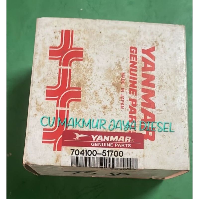 Fuel Injection Pump/Bospom TS50 704100-51700 Yanmar