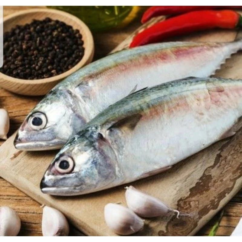 

Ikan Kembung Segar / Fresh 1 Kg