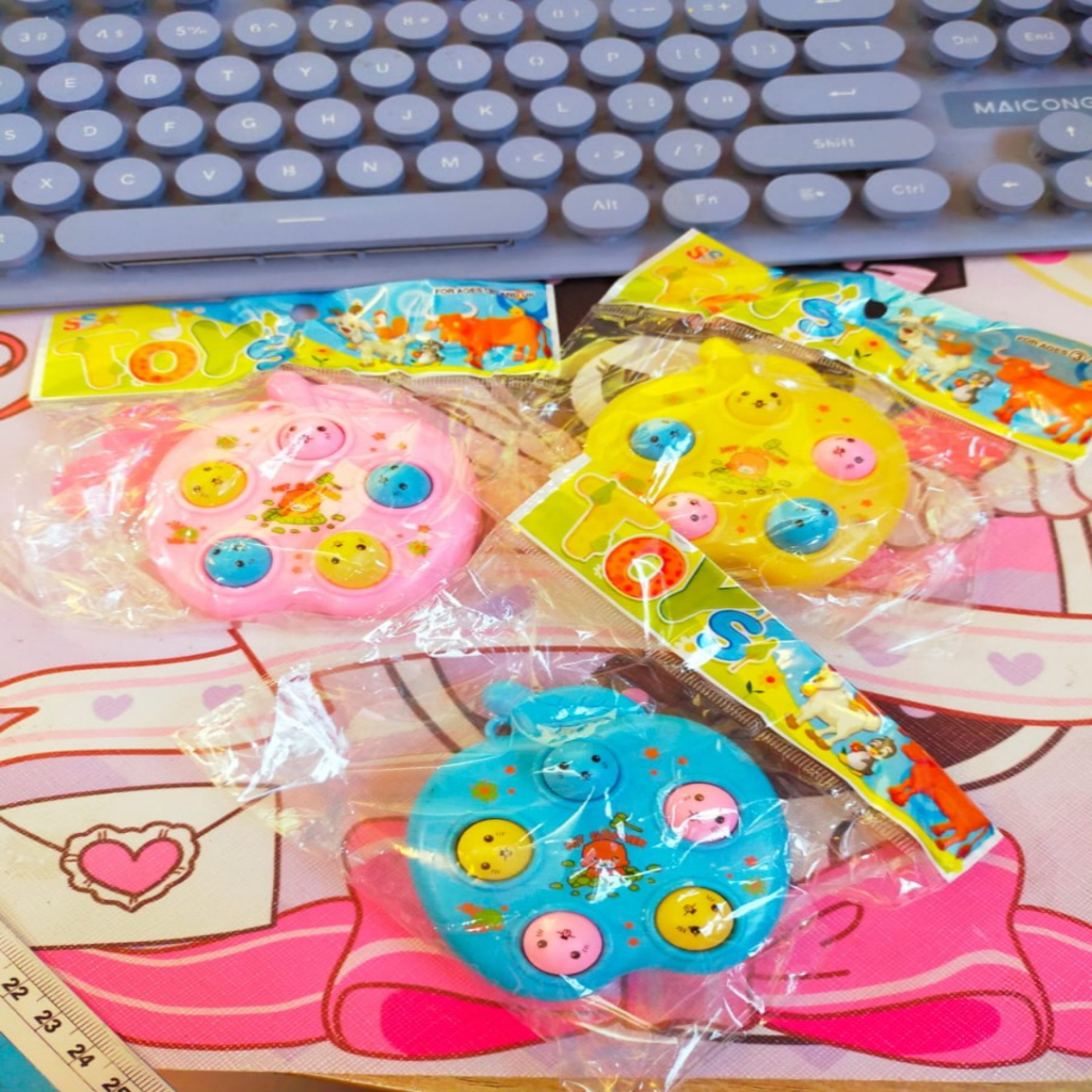 Mainan Pop it Apel Pop It Mini Murah Pop It karakter
