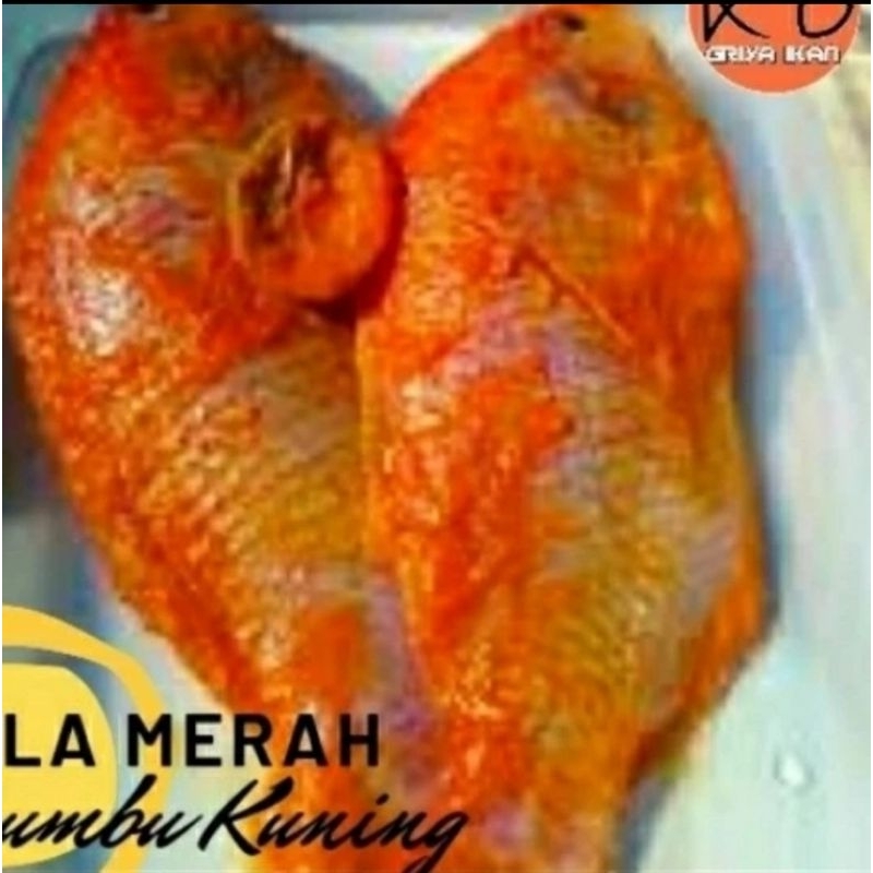 

IKAN NILA MERAH bumbu kuning 500gr