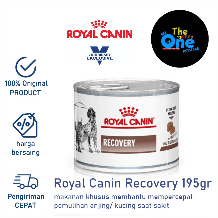 Royal Canin Recovery makanan membantu pemulihan kucing / anjing sakit