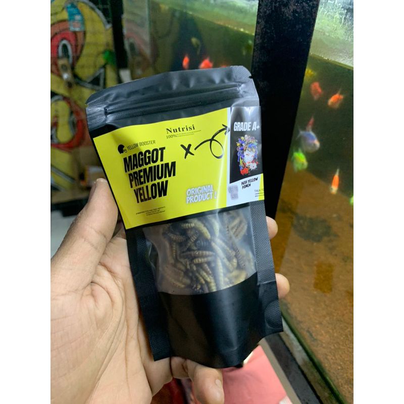 MAGGOT Kering BSF Super Premium Yellow pakan Ikan CHANA-OSCAR-PEBAS-KOI dan Ikan Hias Air Tawar Lain