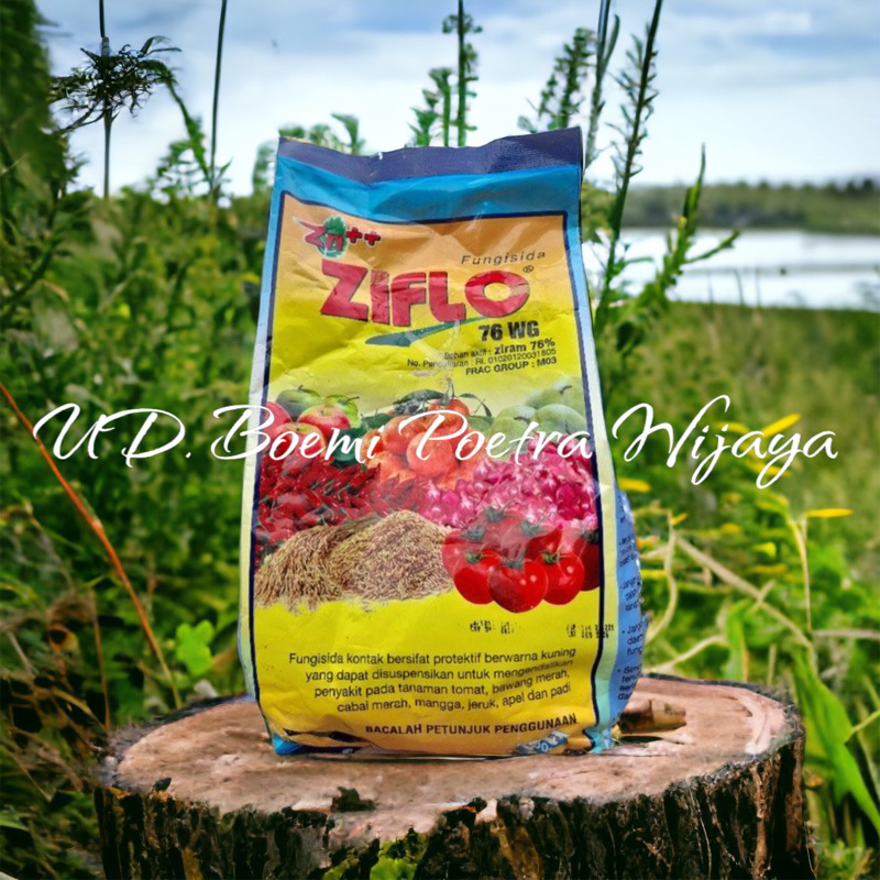 FUNGISIDA ZIFLO 76WG 800gr