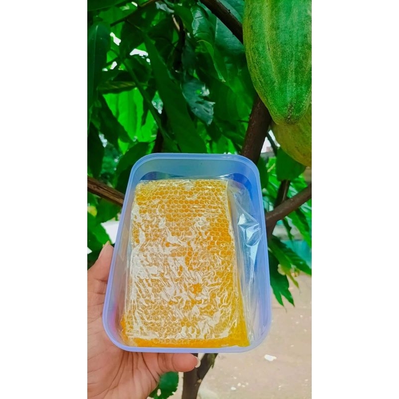 

Korzaln 500Gram Madu Sarang Asli Melifera Murni Original 100% Premium Honey Comb
