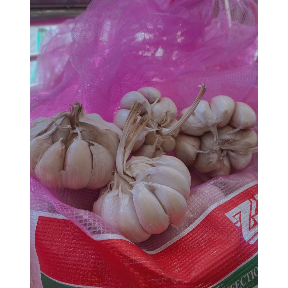 

1Kg BAWANG PUTIH SICO