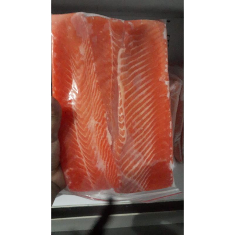 

FILLET SALMON FILLET Fresh trouth Norway 1 kg