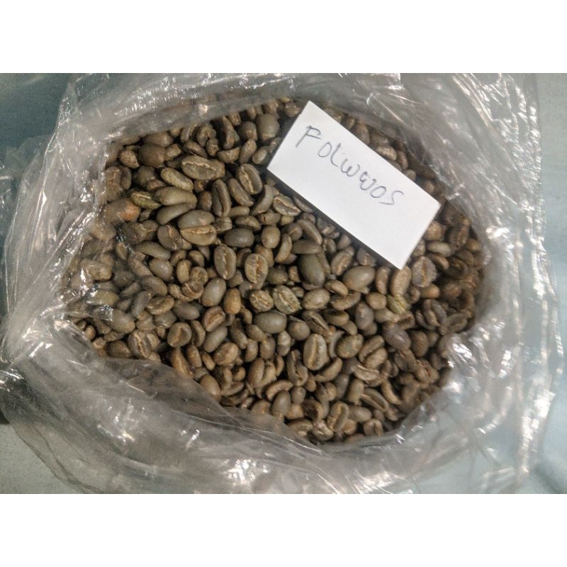 

Green Beans Arabika Full Wash Grade 1 Java Ijen Bondowoso /Kg