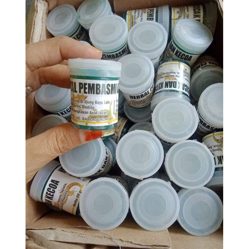 RACUN CICAK KECOA DAN TOKEK ORIGINAL | AMPUH