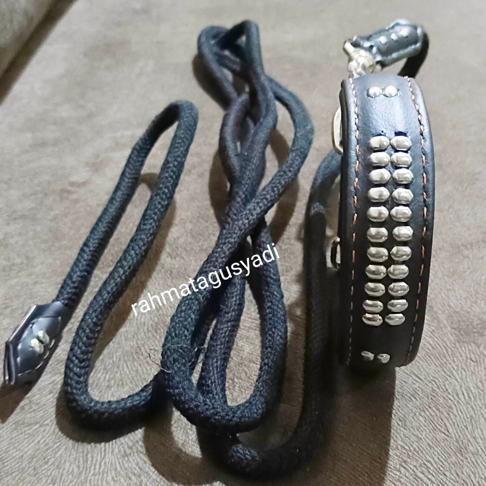 Kalung dan Tali Tuntun Anjing Berburu Asli Kulit Ukuran 40 s/d 45 cm