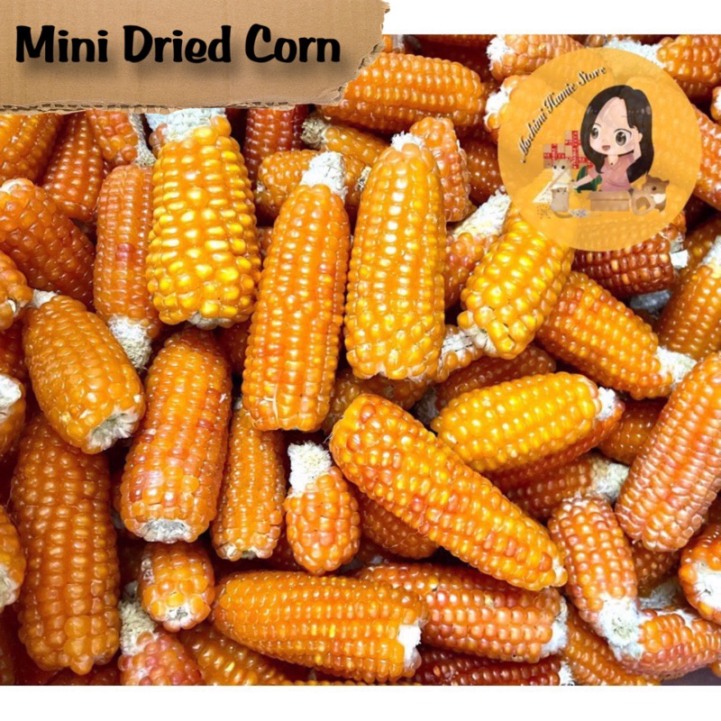 Mini Dried Corn Hamster | Jagung Utuh Mini Kering