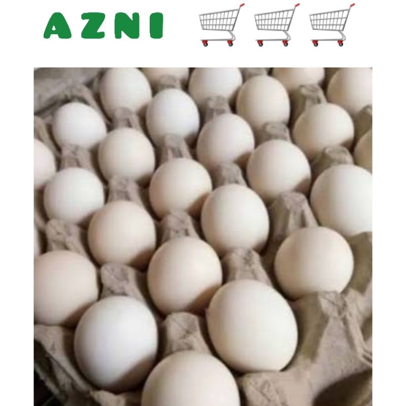 

TELUR AYAM KAMPUNG PER 6 BUTIR