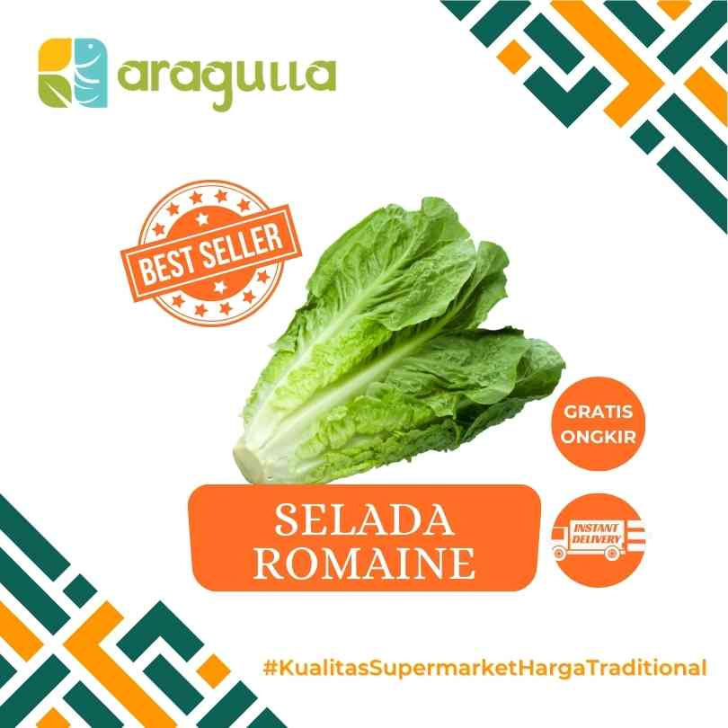 Romaine / Selada Romain / Sayur Salad [Sayur - Sayuran Segar Instant / Express Surabaya] - Aragulla