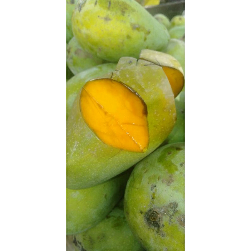 

BUAH MANGGA HARUM MANIS SEGAR