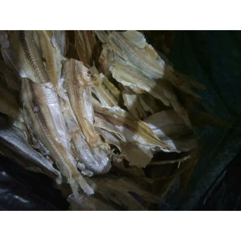 

ikan asin tawar