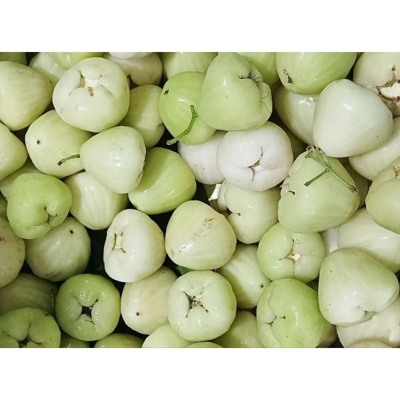 

Jambu Air Madura 2 kg