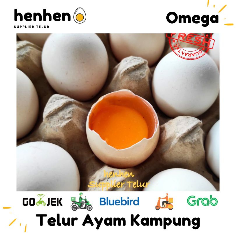 

TELUR AYAM KAMPUNG OMEGA ASLI ORGANIK PREMIUM Supplier Telur Hen-hen