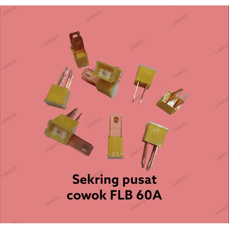 Sekring pusat cowok panjang FLB 60A