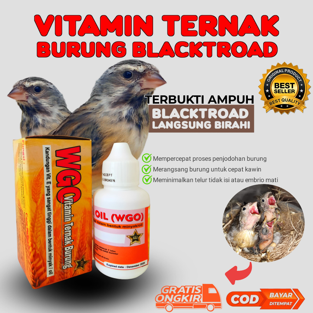 WGO ASLI VITAMIN TERNAK BURUNG BLACKTROAT SANGER RED SISKIN FINCH KENARI