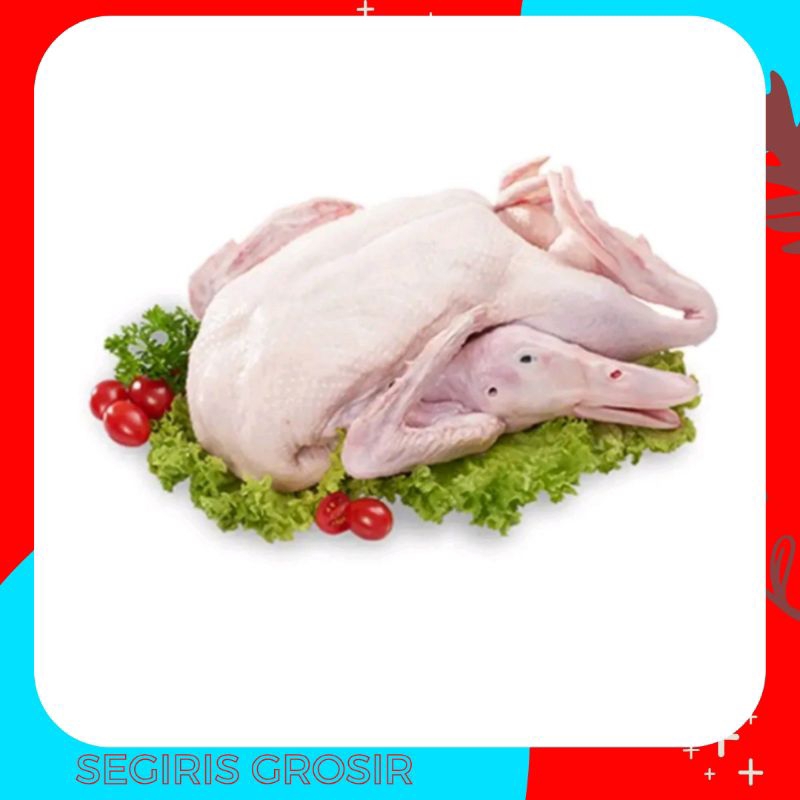 

Bebek peking utuh frozen 1 ekor