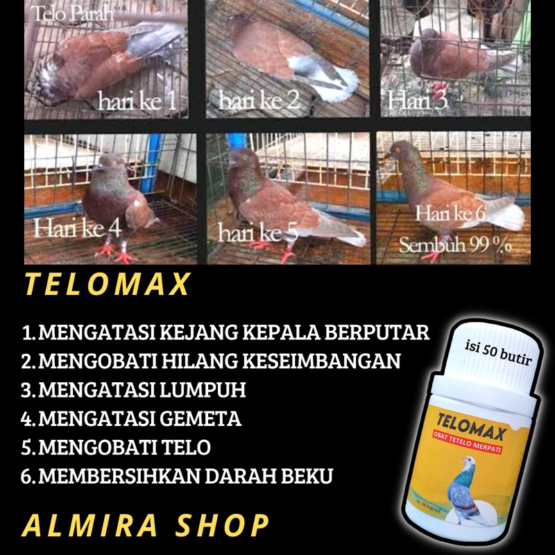 OBAT TELO MERPATI TELOMAX