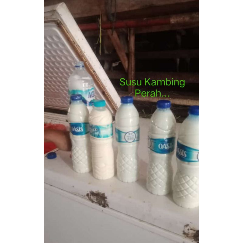 

Susu Murni Kambing Perah 1 Pcs Botol kecil Mineral Fresh.