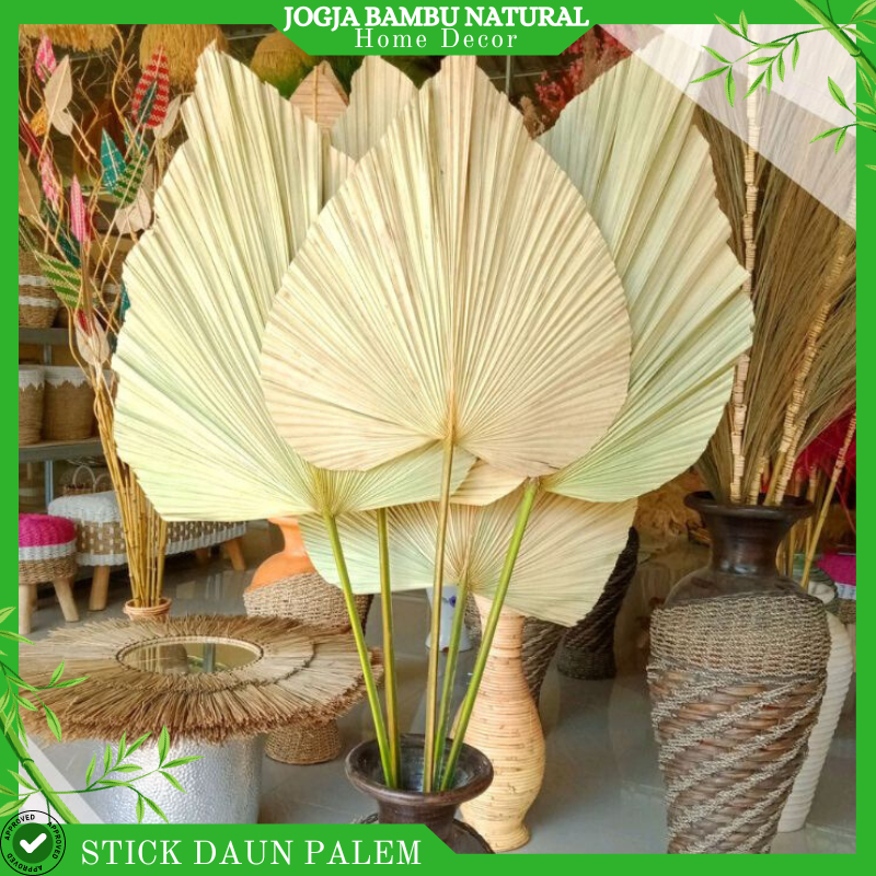 STICK DAUN PALEM KERING HIASAN SUDUT RUMAH RUSTIC UKURAN L MURAH