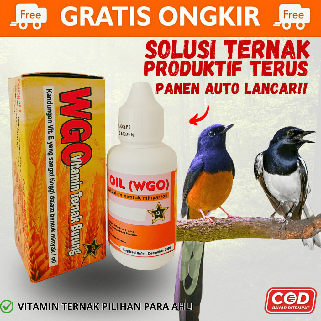 WGO Asli Vitamin Suplemen Obat Ternak Breeding Burung Murai Batu Kacer Kenari