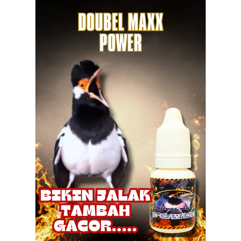 DOUBEL MAXX POWER PENGGACOR BURUNG JALAK