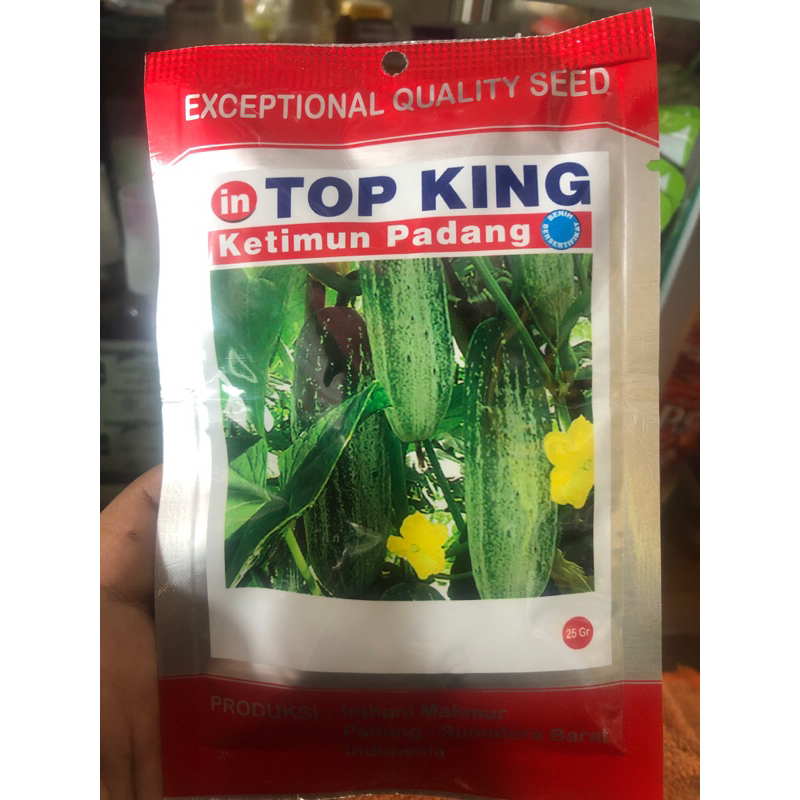 TOP KING BIBIT KETIMUN PADANG/ mintimun padang
