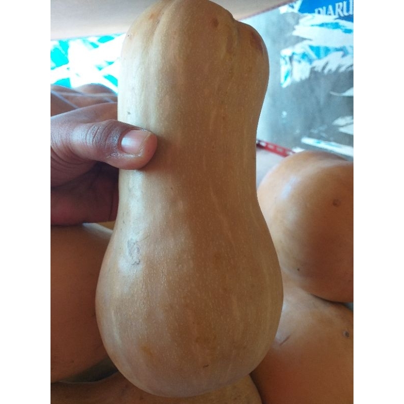 

baternat 1kg