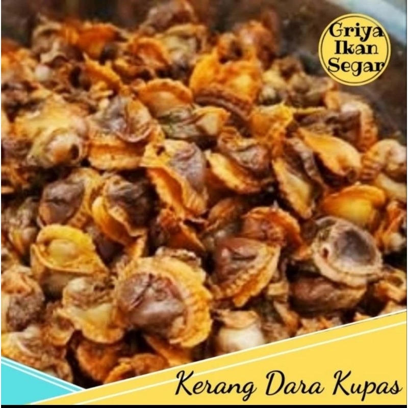 

Kerang Dara Kupas Fresh 1kg