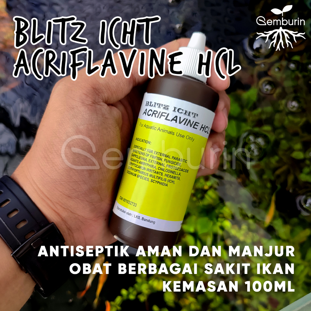 Giltbite_ Blitz Icht Acriflavine Hcl 100 Ml / Obat Kuning Ikan Antiseptik / Anti White Spot Parasit