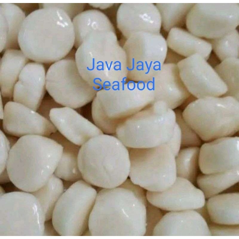 

Daging Scallop / Kerang Kampak / Kerang Simping