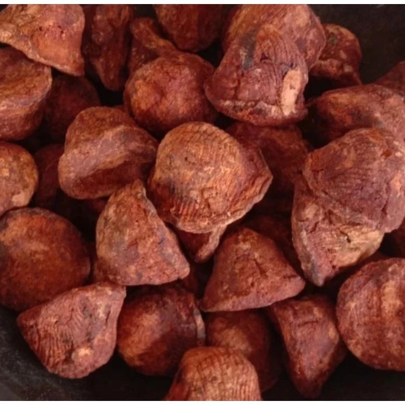 Gambir Jambu Getah Gambir Merah Gambir Ringan Asli Maha Bunga Perbiji