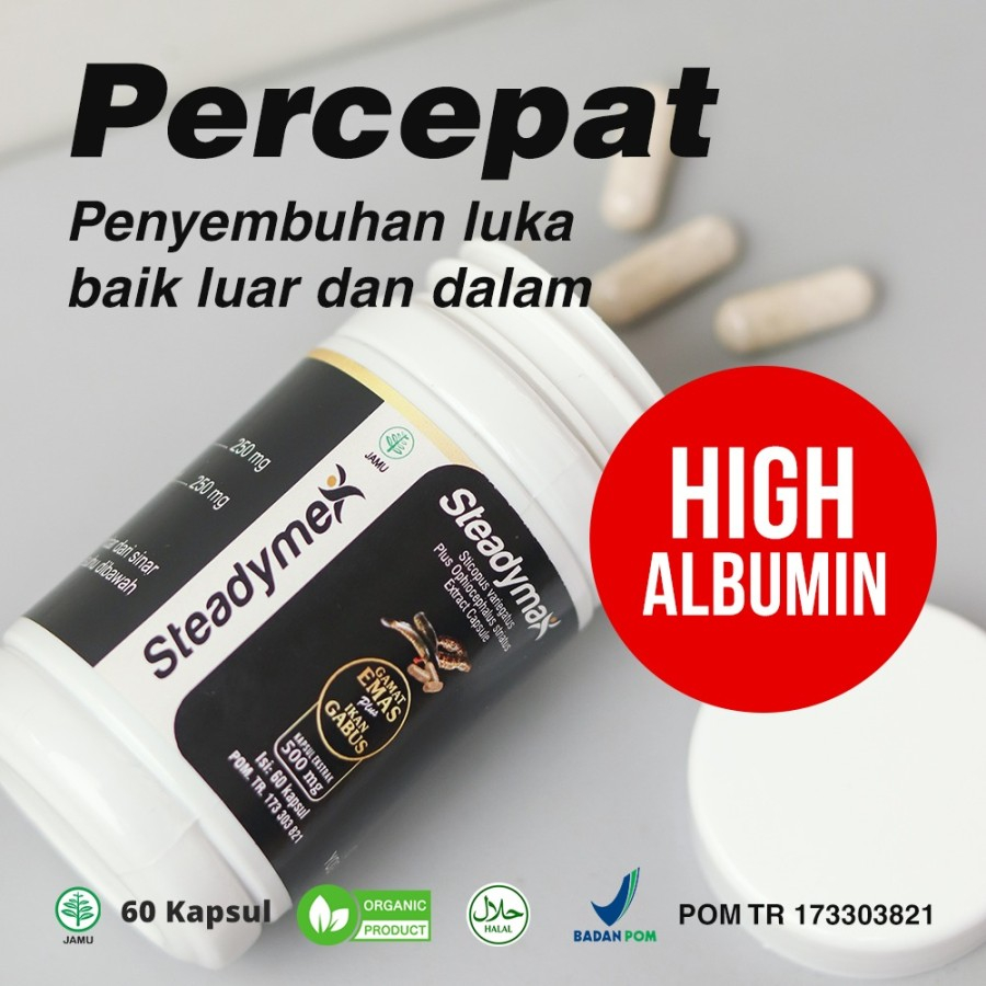 Kapsul Ekstrak Ikan Gabus / Kutuk dan Gamat Emas Original Kaya Albumin STEADYMAX