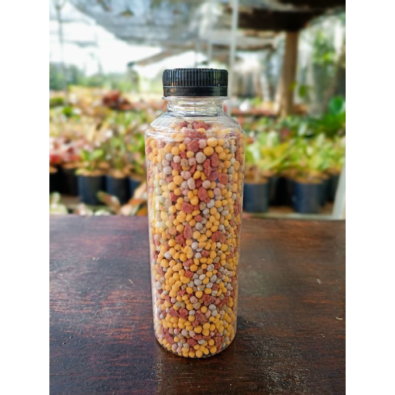 Pupuk Aglaonema Slow Release