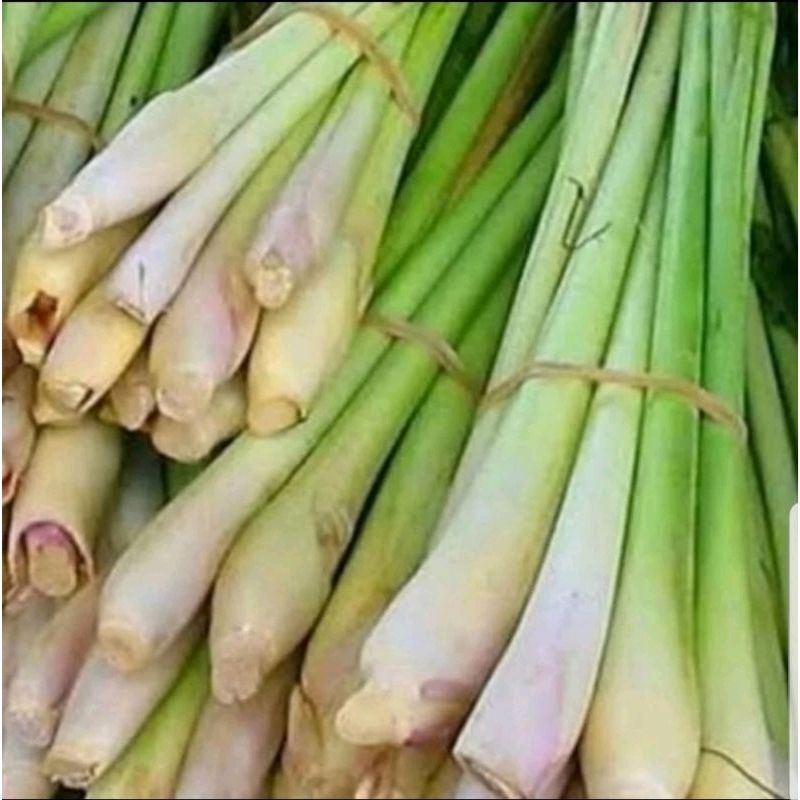 

SERE SERAI SEGAR / SEREH LEMONGRASS FRESH