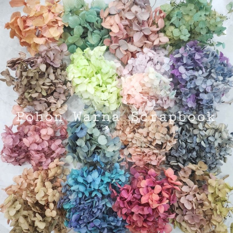 (GRADASI) PRESERVED FLOWER HYDRANGEA | BUNGA KERING HYDRANGEA BAHAN MAHAR SCRAPBOOK
