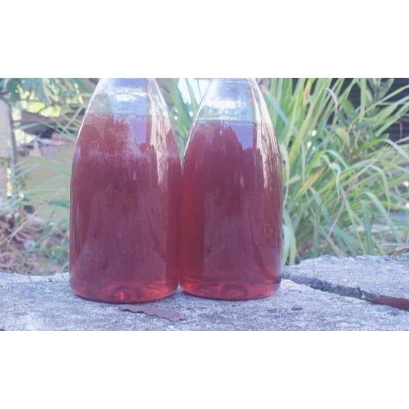 

Madu Asli Murni-Madu 100% murni (350ml)