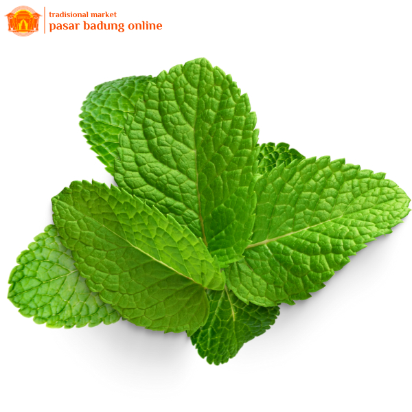 

Daun Mint Segar
