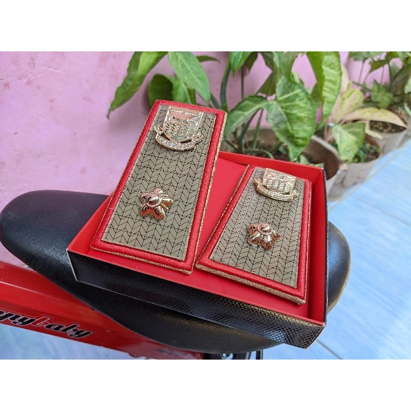 Pangkat PNS ASN kbb golongan 3D