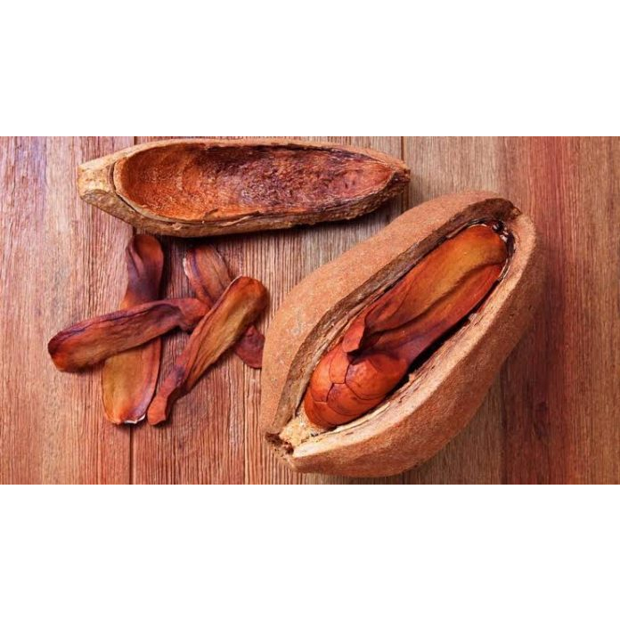 

BIJI TANAMAN POHON MAHONI 1KG BIJI BERKUALITAS