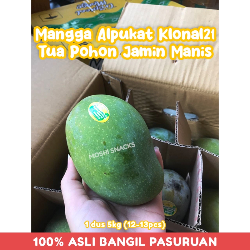 Mangga Alpukat 5kg Klonal 21 Tua Pohon Asli bangil Pasuruan Grosir - Tropical Mango