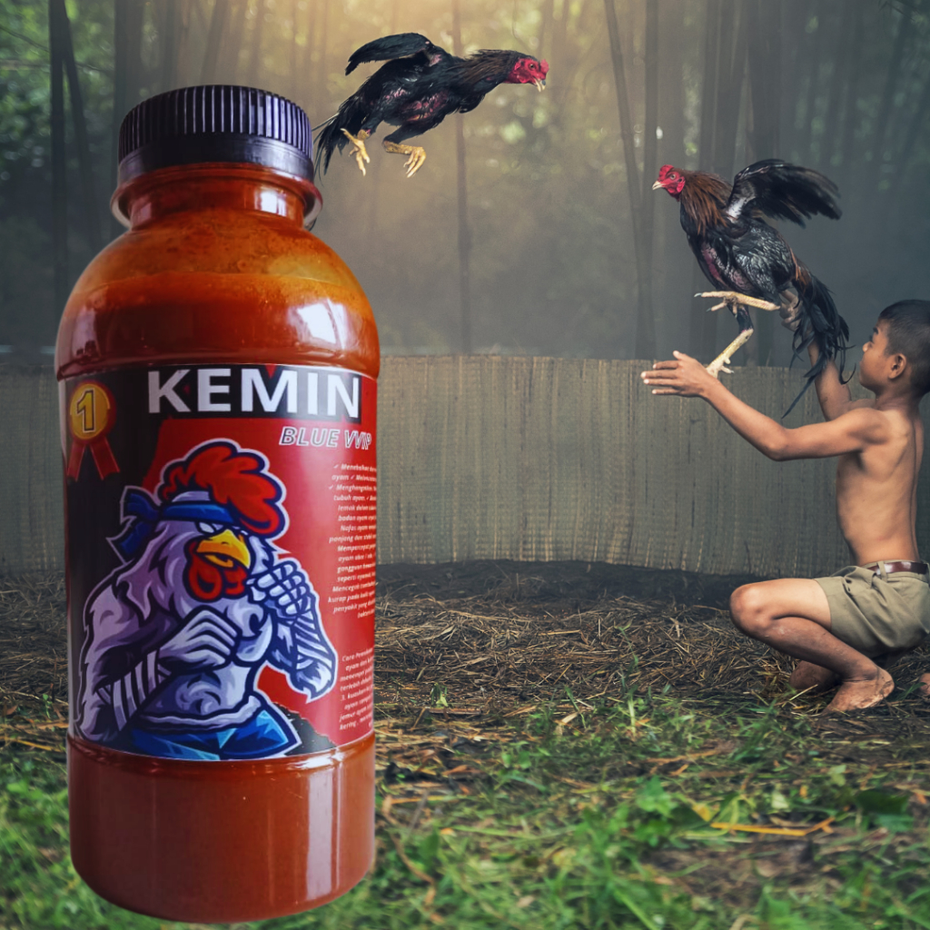 kemin ayam aduan penebal kulit ayam aduan pengeras kaki ayam